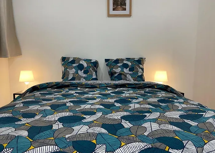 La Galerie, Proche Aeroport Tillé